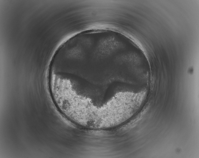 X0000116611045201001081206