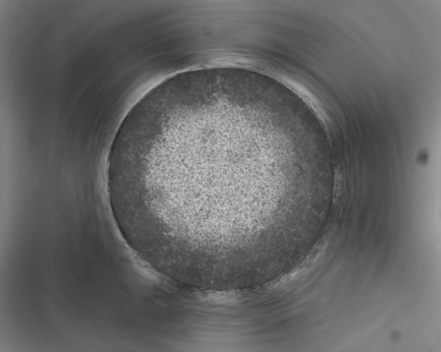 X0000116611047201001081206