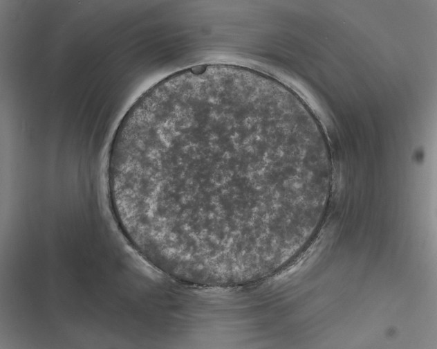 X0000116611048201001081207