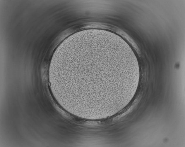 X0000116611049201001081207