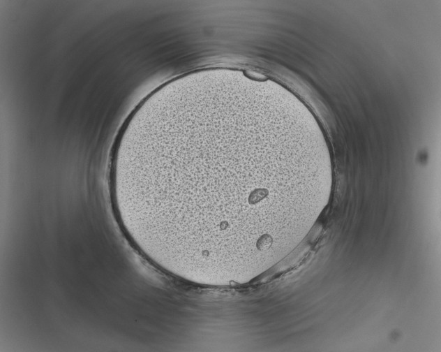 X0000116611050201001081207