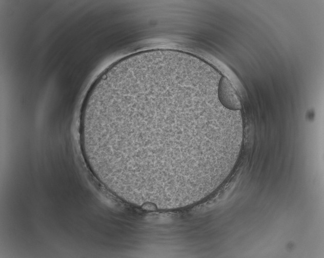 X0000116611051201001081207