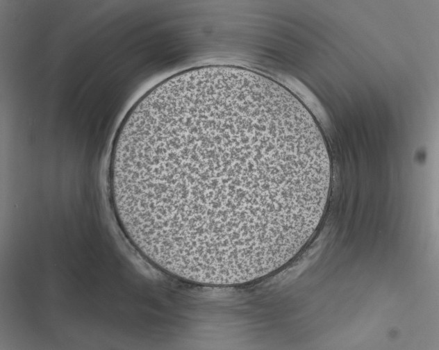 X0000116611052201001081207