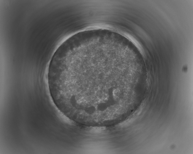 X0000116611055201001081207