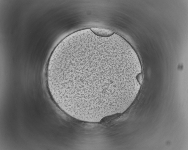 X0000116611056201001081207