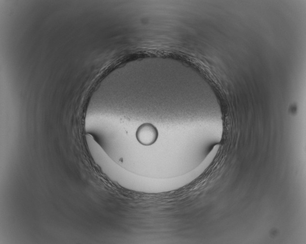 X0000116611057201001081206