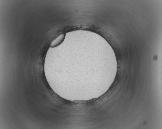 X0000116611058201001081206