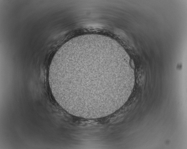 X0000116611061201001081206