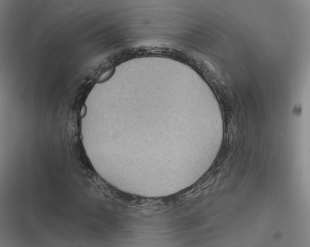 X0000116611062201001081206