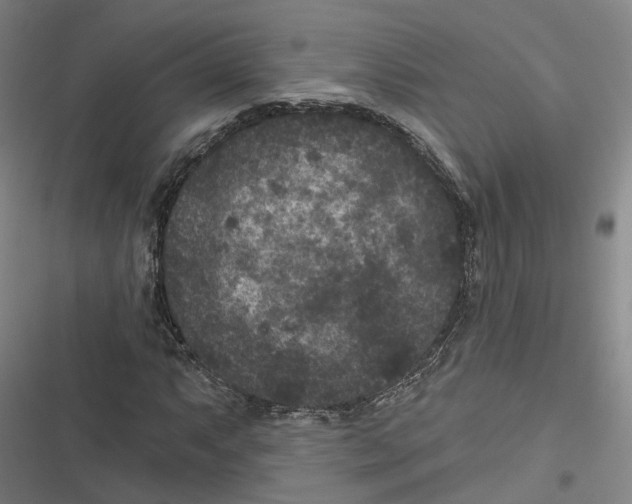 X0000116611063201001081206