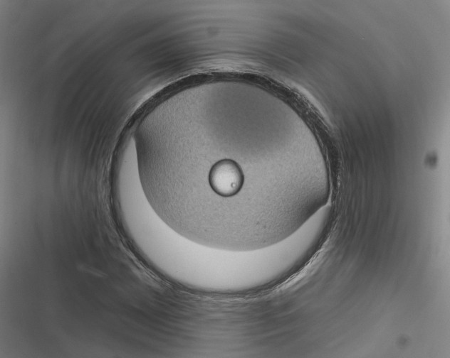 X0000116611065201001081206