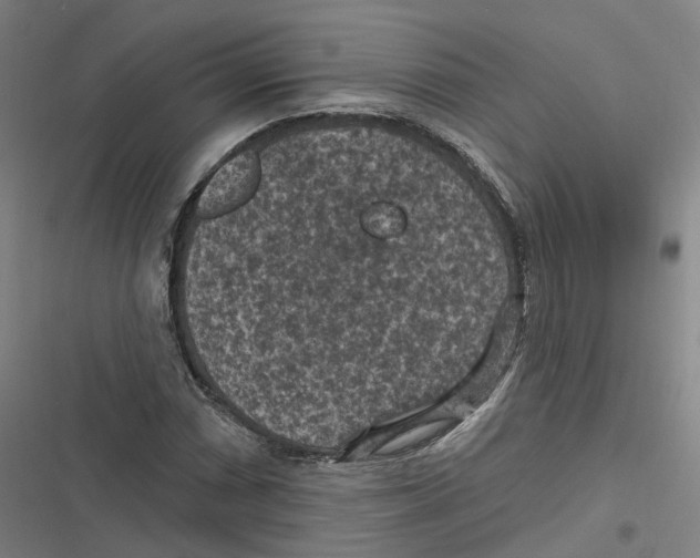 X0000116611066201001081206