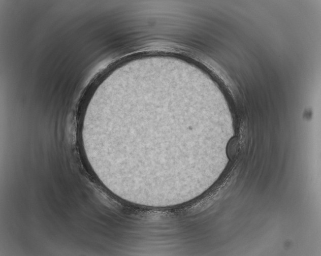 X0000116611067201001081206