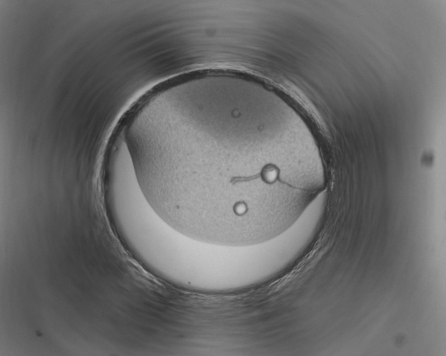 X0000116611068201001081206