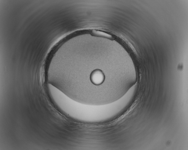 X0000116611069201001081206