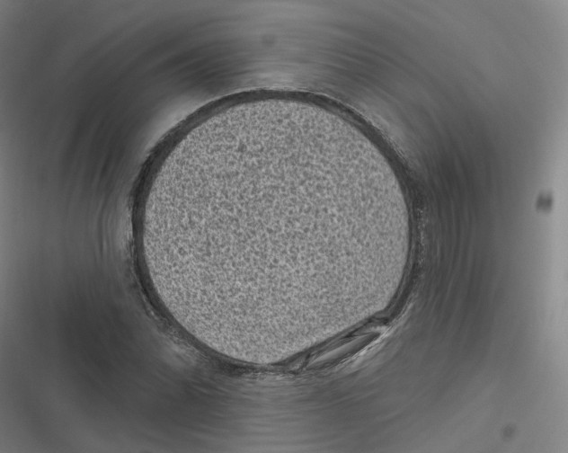 X0000116611070201001081206