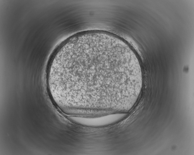 X0000116611072201001081206