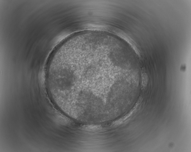 X0000116611074201001081206