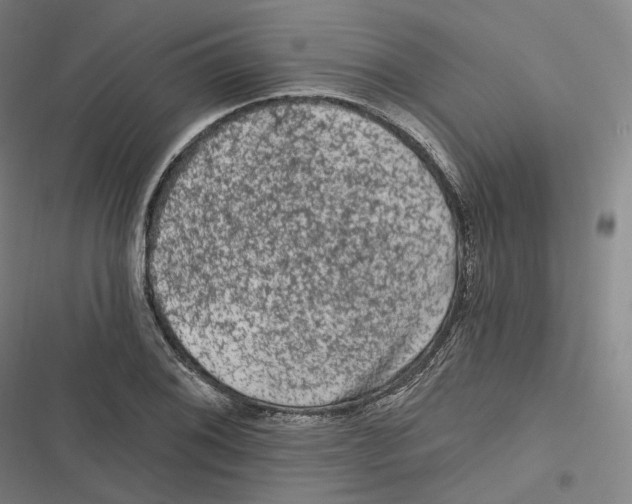 X0000116611076201001081206