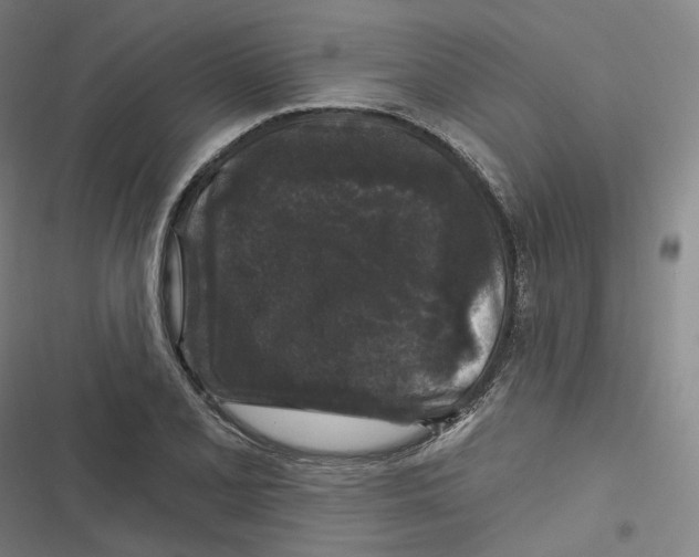 X0000116611077201001081206