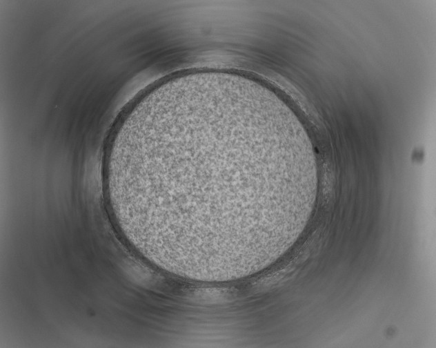 X0000116611078201001081206