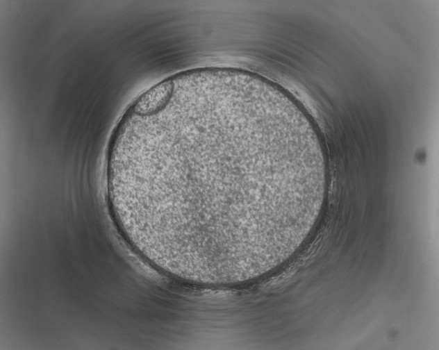 X0000116611080201001081206