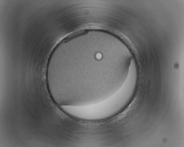 X0000116611081201001081206