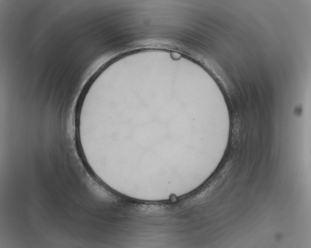 X0000116611082201001081206