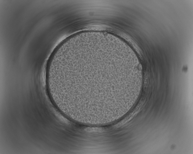 X0000116611083201001081206