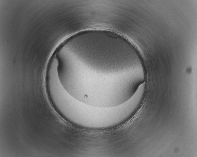 X0000116611085201001081206