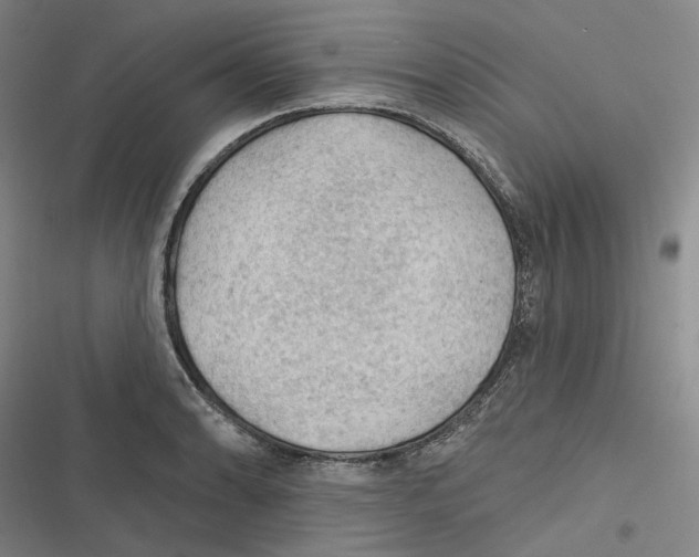 X0000116611086201001081206