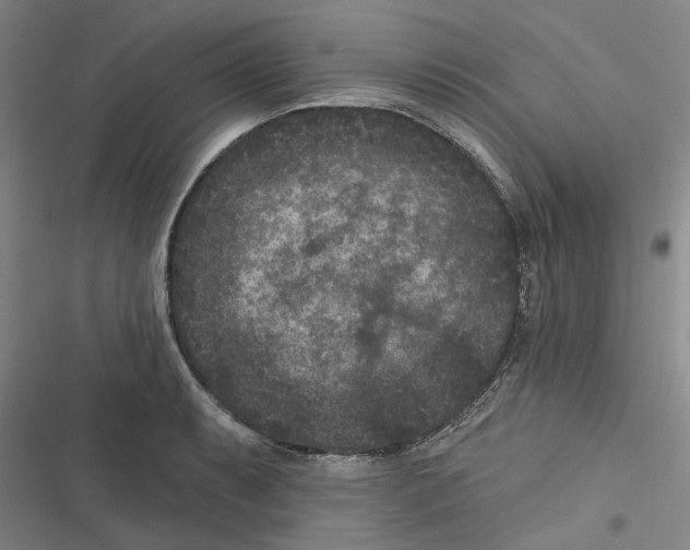 X0000116611087201001081206