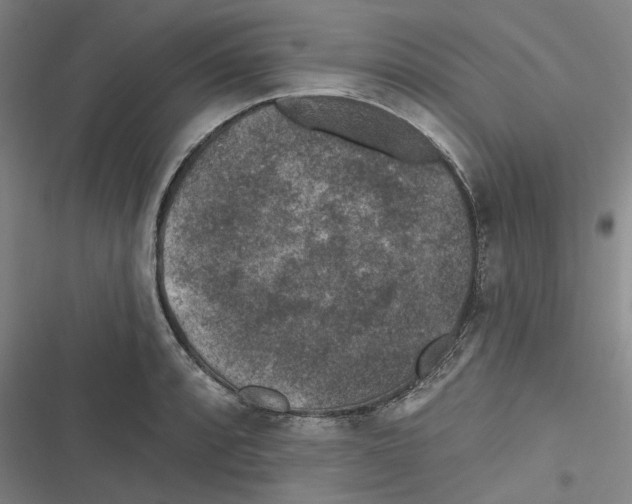 X0000116611088201001081206