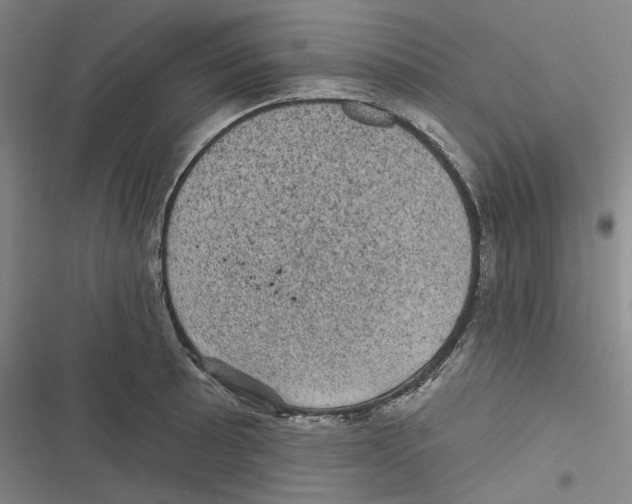 X0000116611089201001081206