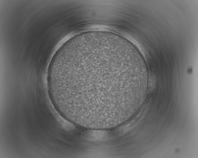 X0000116611090201001081206