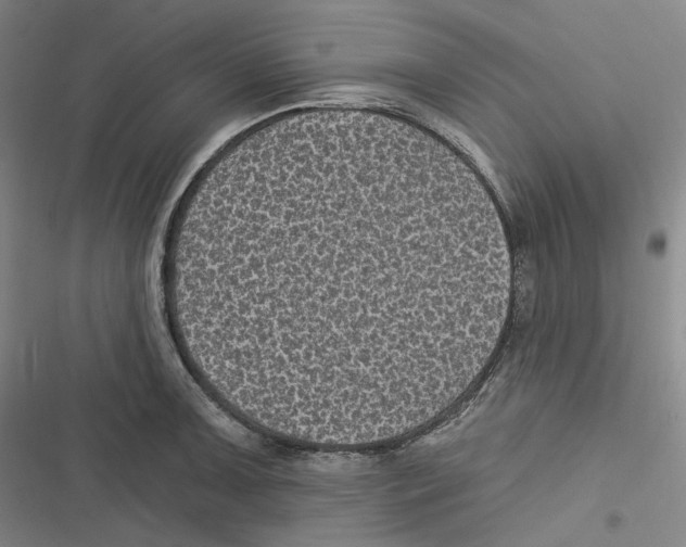 X0000116611091201001081205