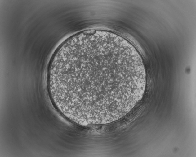 X0000116611092201001081205