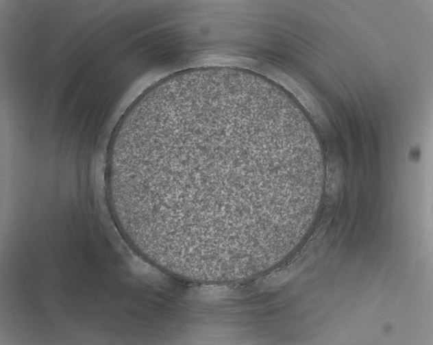 X0000116611094201001081205