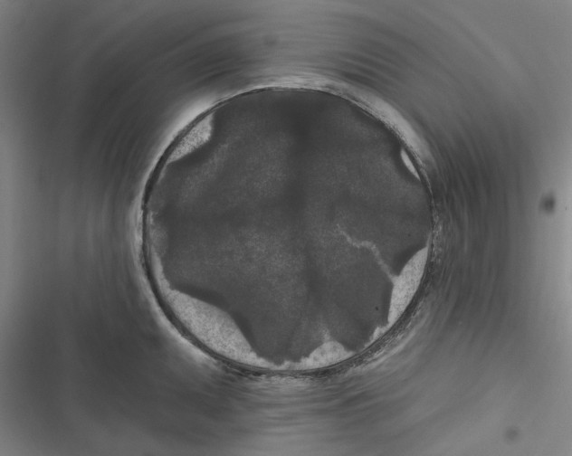 X0000116611095201001081205