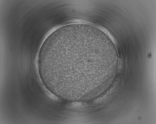 X0000116611098201001081205