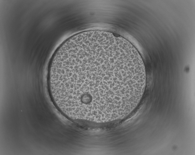 X0000116611099201001081205