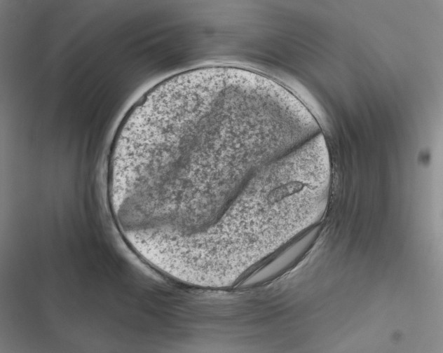 X0000116611100201001081205