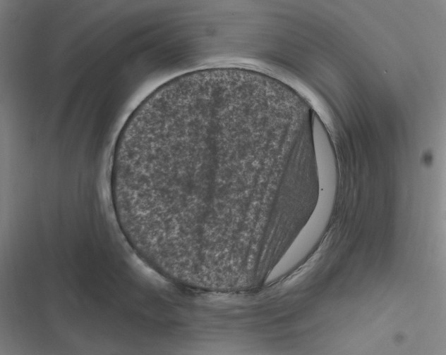 X0000116611102201001081205