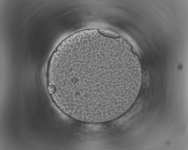 X0000116611103201001081205