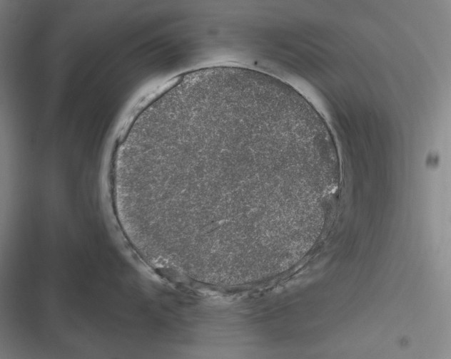 X0000116611104201001081205