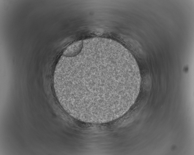 X0000116611105201001081205