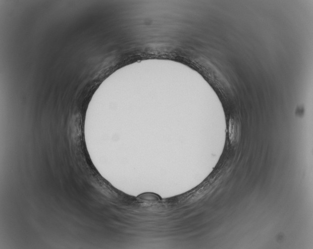 X0000116611107201001081205