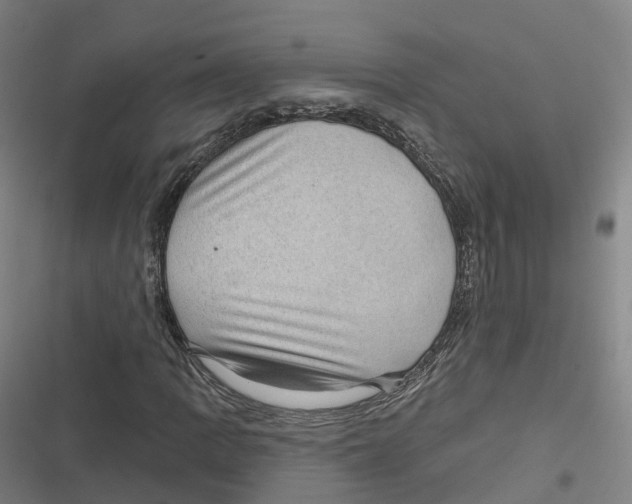 X0000116611109201001081205