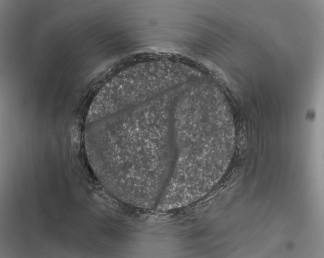 X0000116611110201001081205