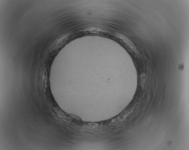 X0000116611111201001081205